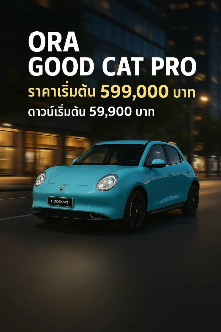 ORA GOOD CAT PRO