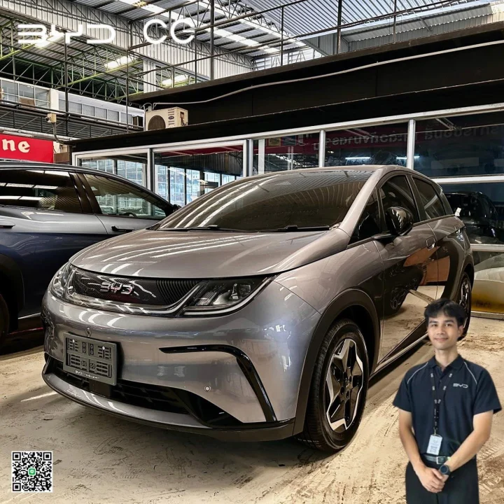 New BYD Dolphin